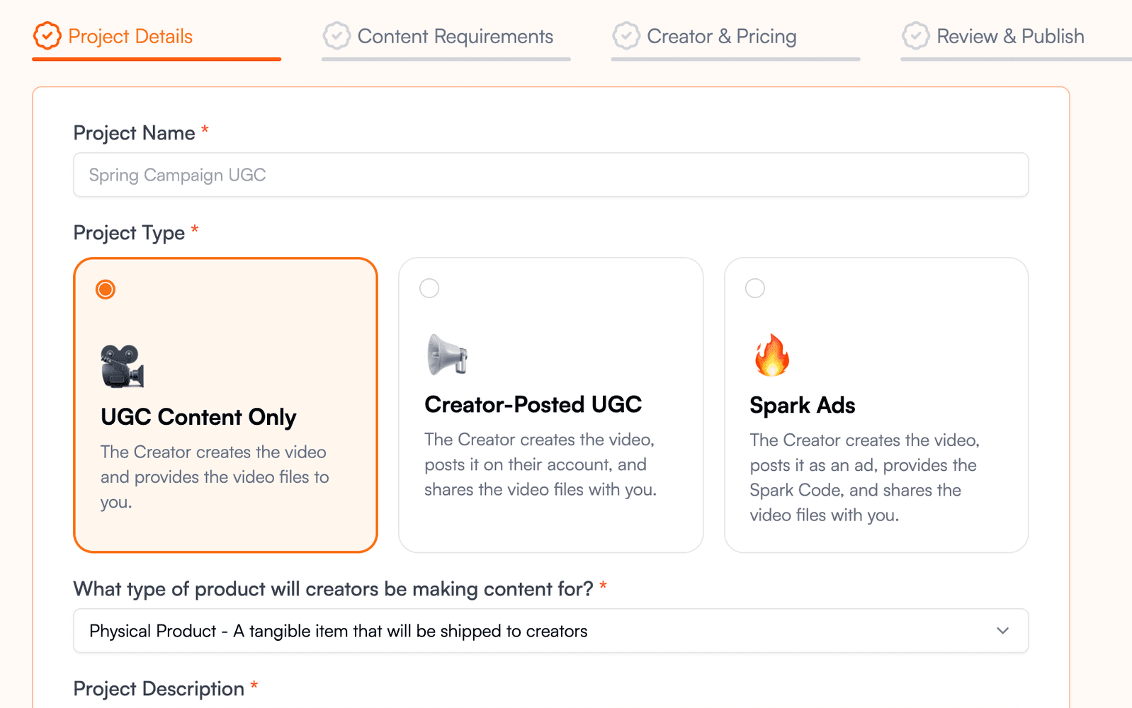 Step one of the Social Shake brief: choosing between raw UGC, creator-posted UGC and Spark Ads
